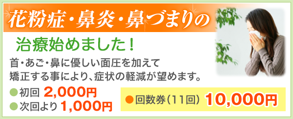 花粉症・鼻炎・鼻づまりの治療始めました